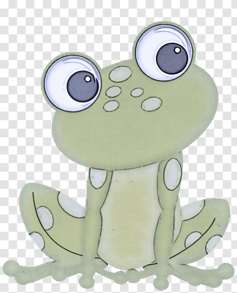 Frog Cartoon True Frog Toad Tree Frog Transparent PNG