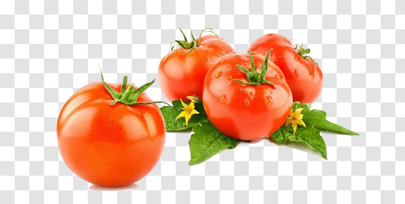 Cherry Tomato Pizza Vegetable Cucumber Seed - Paste - Four Transparent PNG