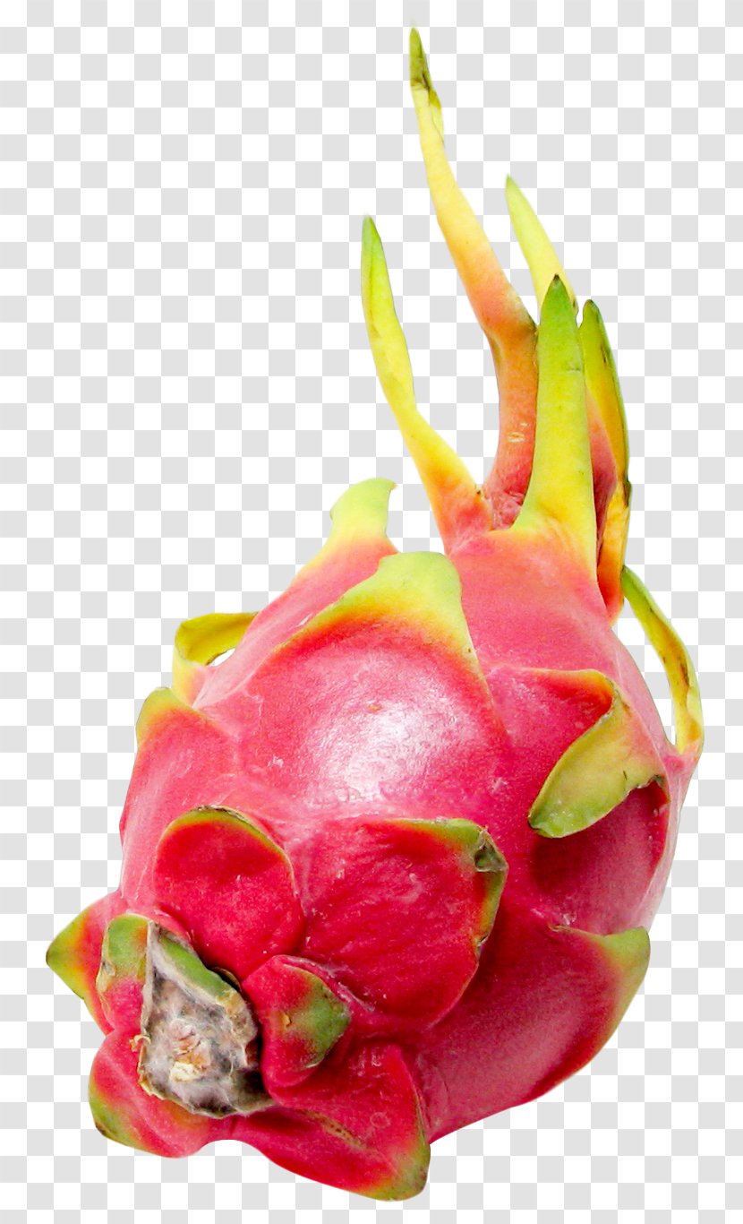 Juice Pitaya Fruit - Natural Foods - Or Dragon Transparent PNG