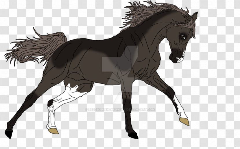Mane Mustang Foal Stallion Colt - Horse Harnesses Transparent PNG