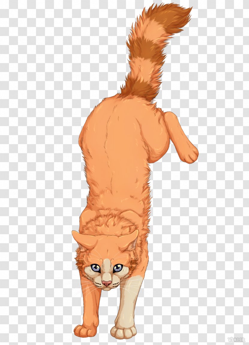 Cats Of The Clans Warriors Kitten Art - Book - Cat Transparent PNG