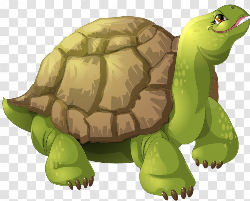 Turtle Animation - Organism Transparent PNG