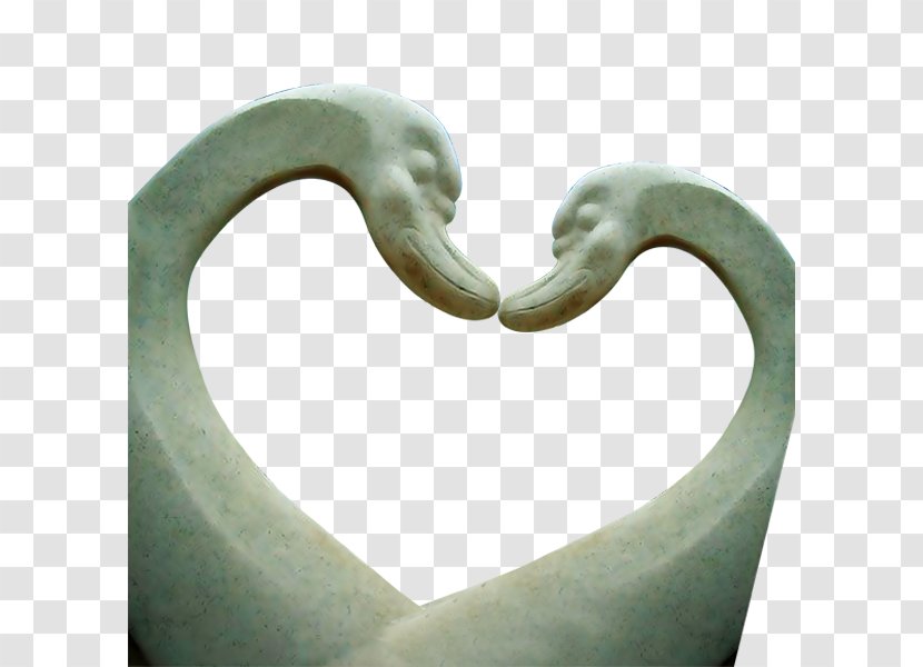 Cygnini Snake - Love - Swan Transparent PNG