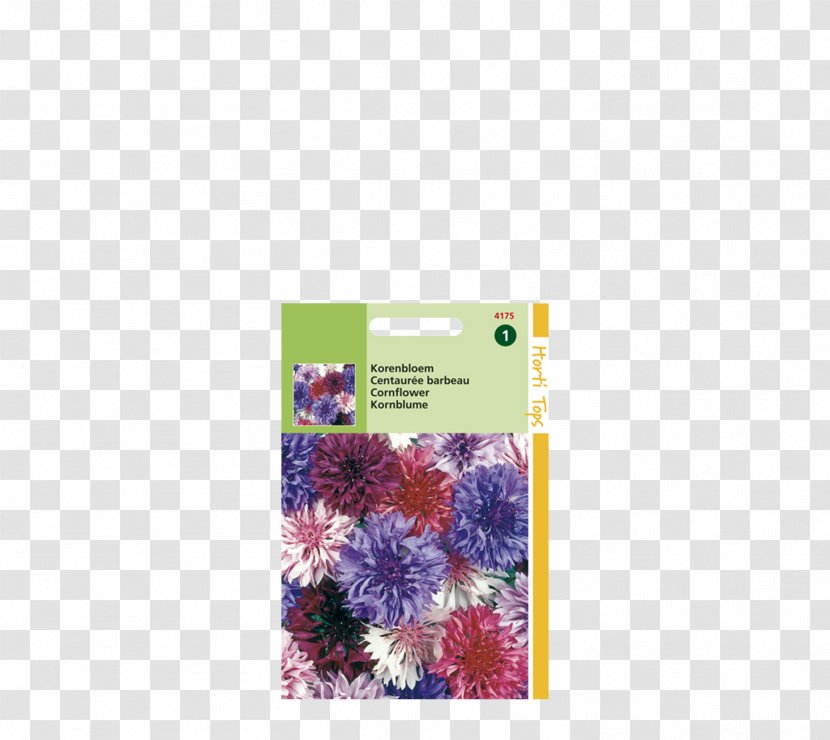 Cornflower Cyanus Polka Dot - Purple - Centaurea Transparent PNG
