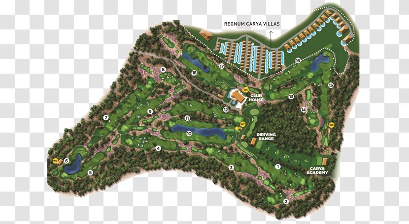 Walton Heath Golf Club Regnum Carya & Spa Resort Wentworth Old Course - Green - Shinnecock Hills Transparent PNG