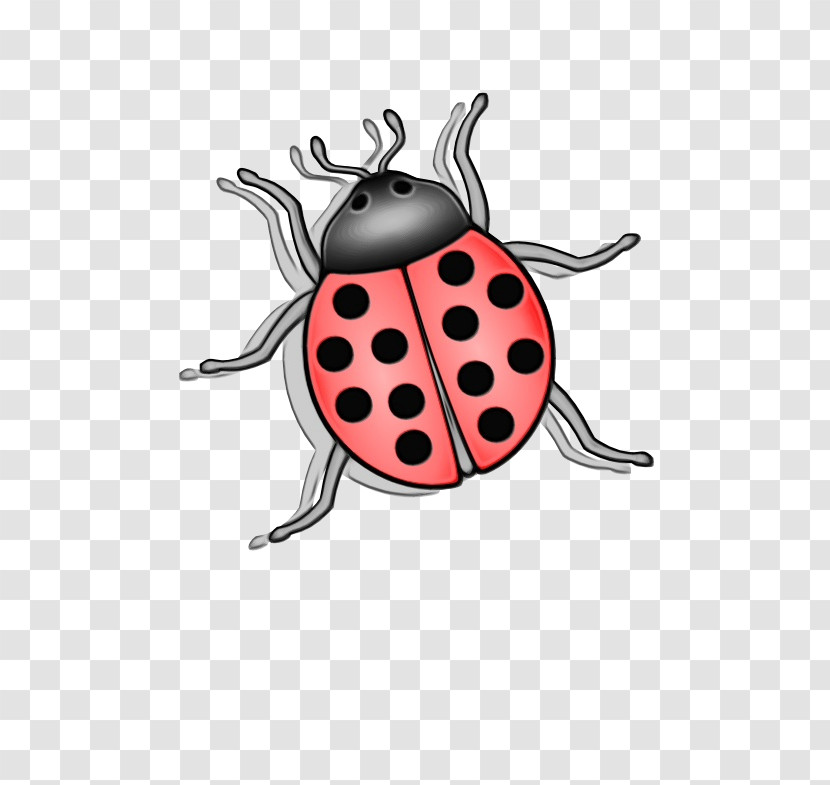 Insects Cartoon Ladybugs Pattern Membrane Transparent PNG