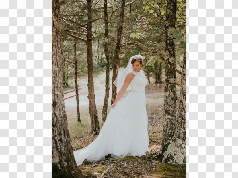 Wedding Dress Bride Photo Shoot - Stage Transparent PNG