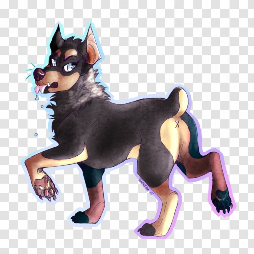 Australian Kelpie Siberian Husky Dog Breed - Razas Nativas Vulnerables Transparent PNG