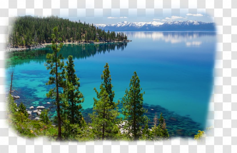 Lake Tahoe City Van Sickle Bi-State Park Resort - Tree - Lakes Transparent PNG