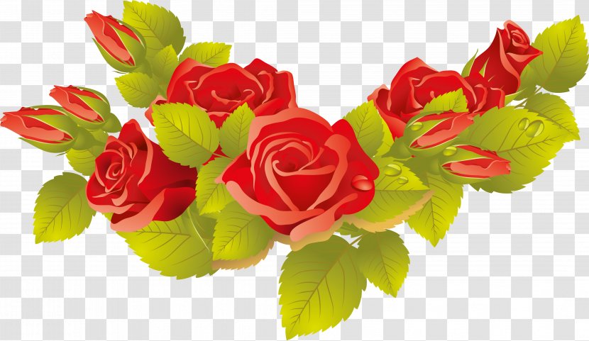 Nosegay Beach Rose Heart Flower - Eva Longoria Transparent PNG