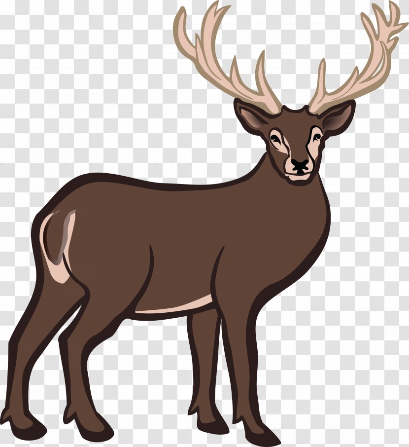 White-tailed Deer Reindeer Clip Art - White Tailed - Head Transparent PNG