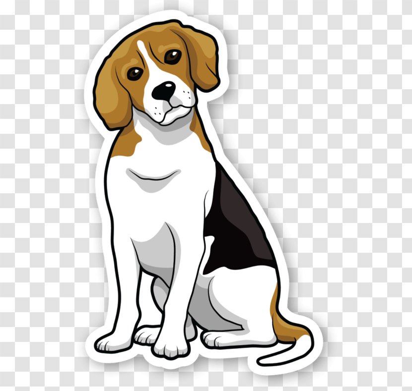 Beagle Basset Hound Puppy Clip Art - Dog Transparent PNG