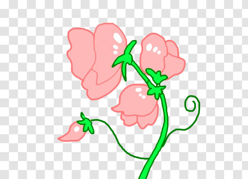 Floral Design Flower Sweet Pea Tulip Ipomoea Nil - Peas Transparent PNG
