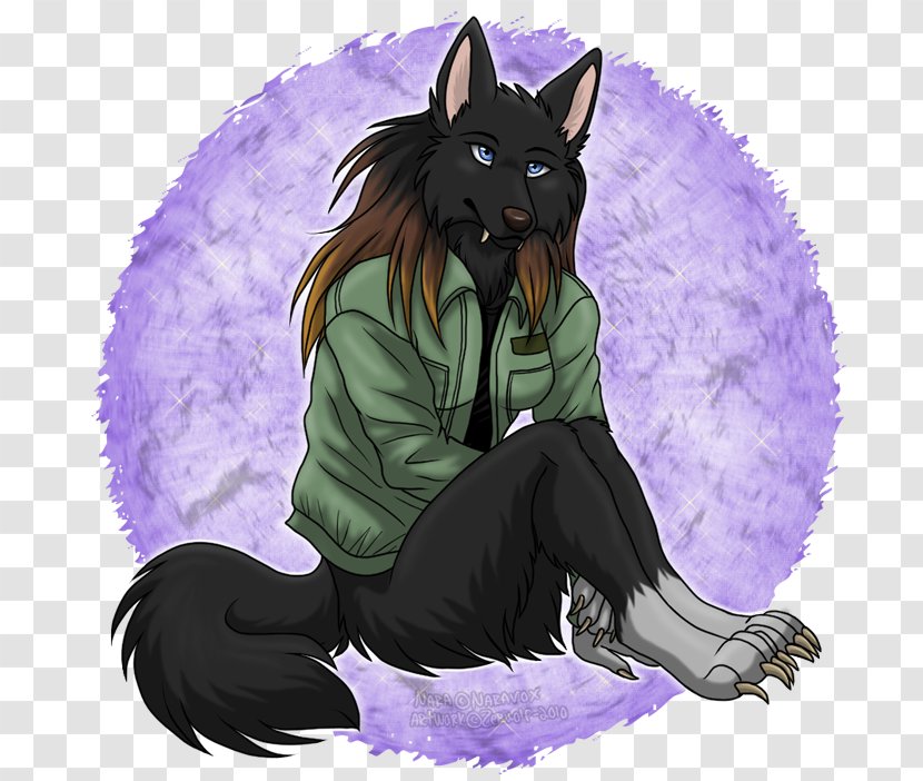 Border Collie Rough Dog Breed Female - Wolf Furry Transparent PNG