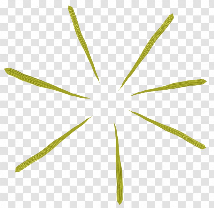 Green Leaf Pattern - Point - Line Lines Creative Transparent PNG