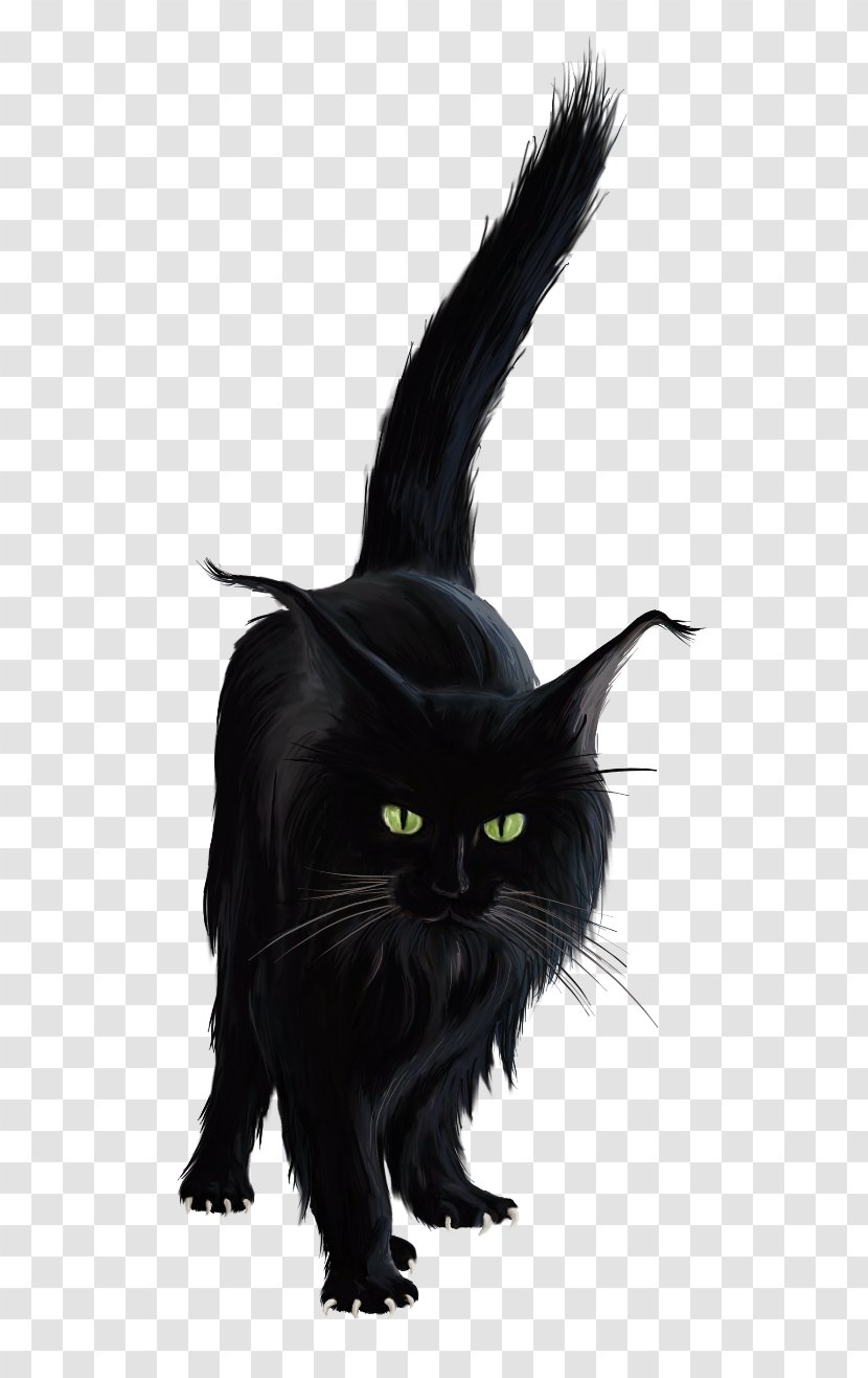 Bombay Cat Black Norwegian Forest Kitten Clip Art - Snout Transparent PNG