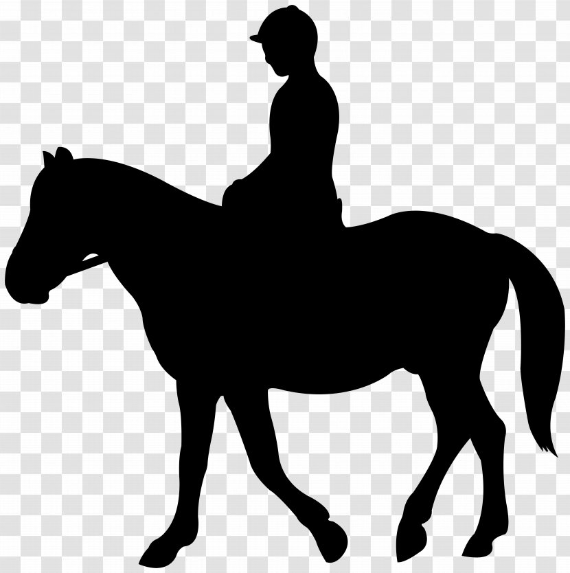 Horse Silhouette English Riding Equestrian Jockey - Drawing - Sillhouette Transparent PNG