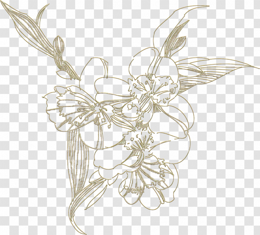 Wing Line Art Plant Pollinator Moths And Butterflies Transparent PNG