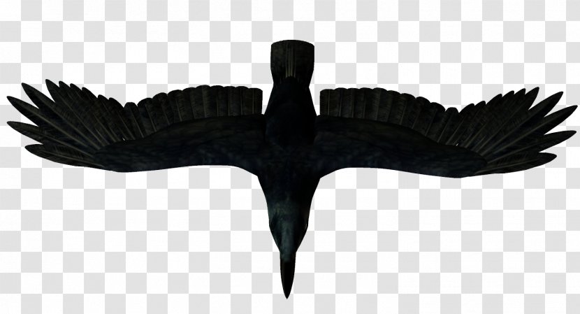 Crows Bird Clip Art Transparent PNG