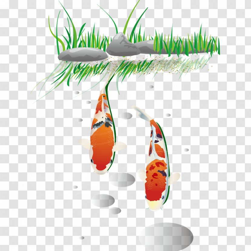 Fish Clip Art - Common Carp - In The Water Transparent PNG