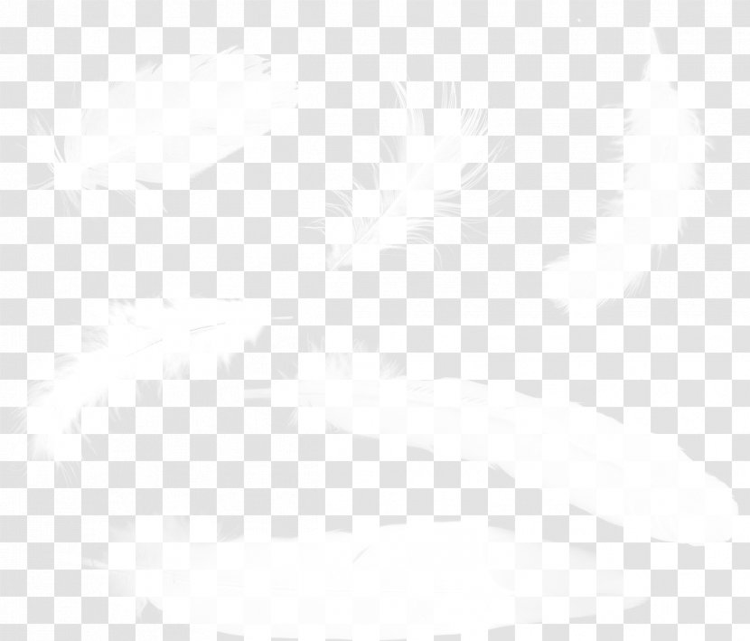 Line Black And White Angle Point - Product Design - Feather Transparent PNG