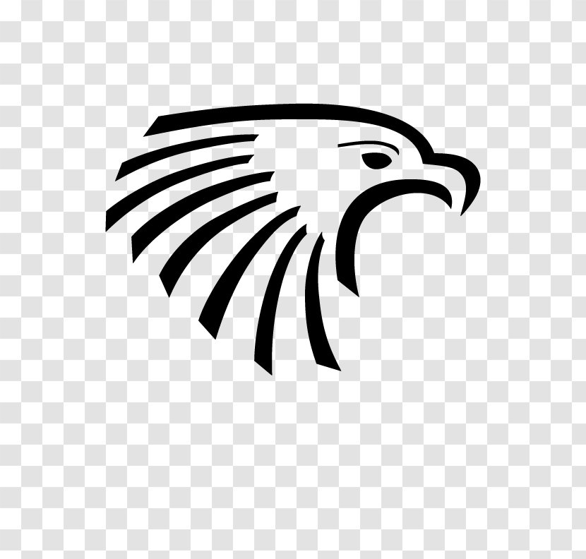 Atlanta Hawks Bald Eagle Sacopee Valley High School Clip Art - Monochrome Photography Transparent PNG