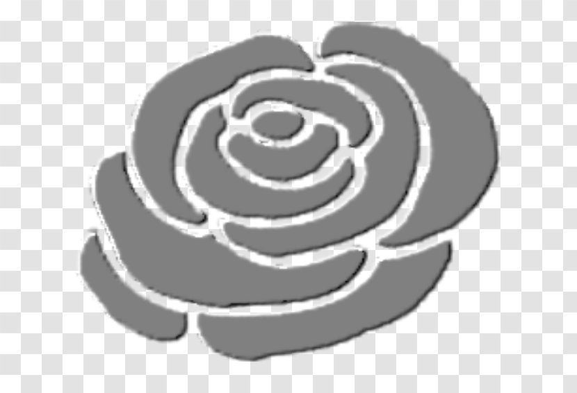 Rose Family Clip Art - Flower Transparent PNG