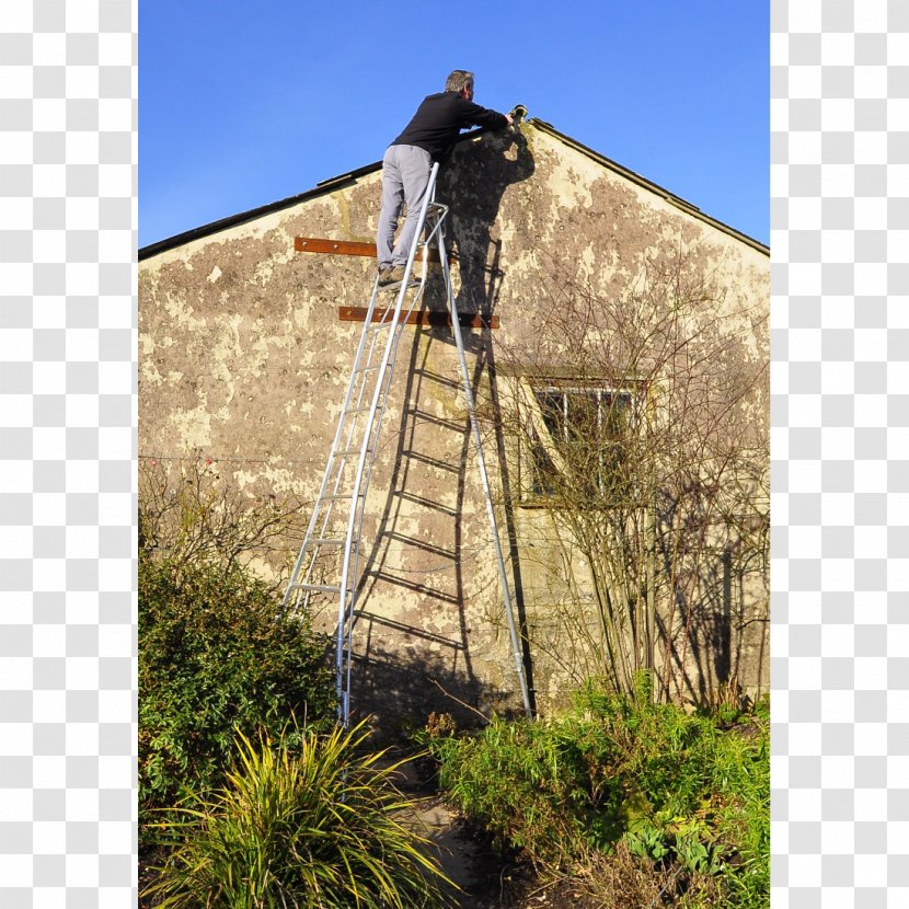 Ladder Roof Tripod Stair Tread Henchman Transparent PNG