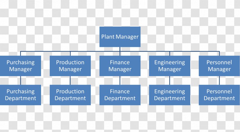 Organizational Structure Hierarchical Organization Chart - Area Transparent PNG