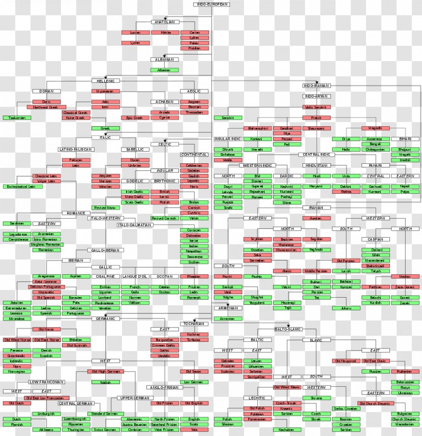 The Indo-European Languages Proto-Indo-European Language Family - Protolanguage - Protoindoeuropean Transparent PNG