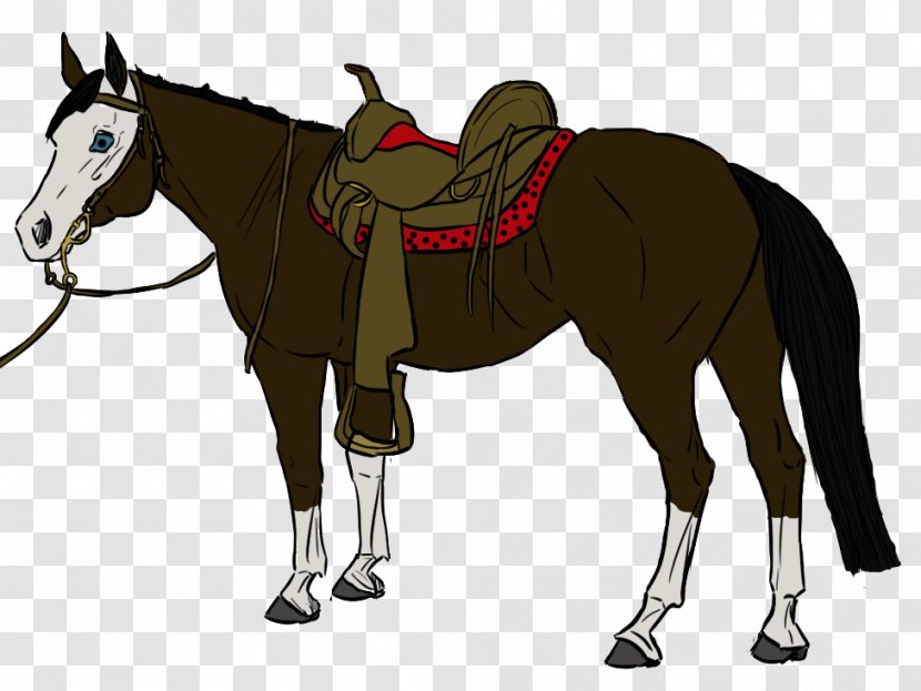 Mule Pony Stallion Mustang Foal - Horse - Western Transparent PNG