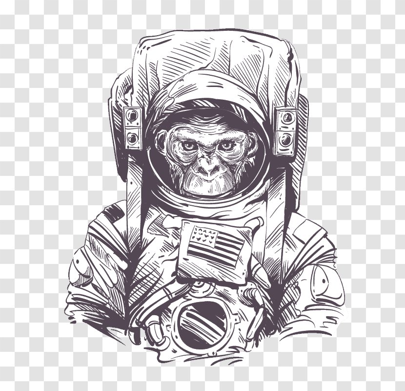 Space Suit Astronaut Monkeys And Apes In Drawing - Outer Transparent PNG