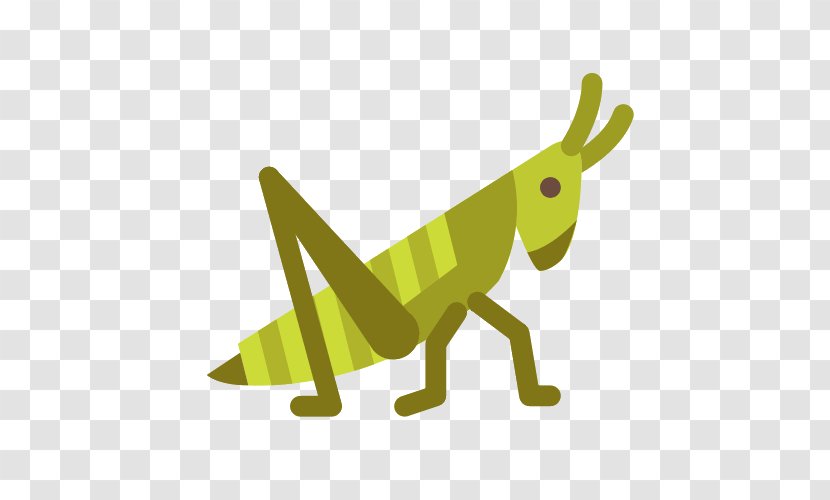 Grasshopper Caelifera Clip Art - Hare Transparent PNG