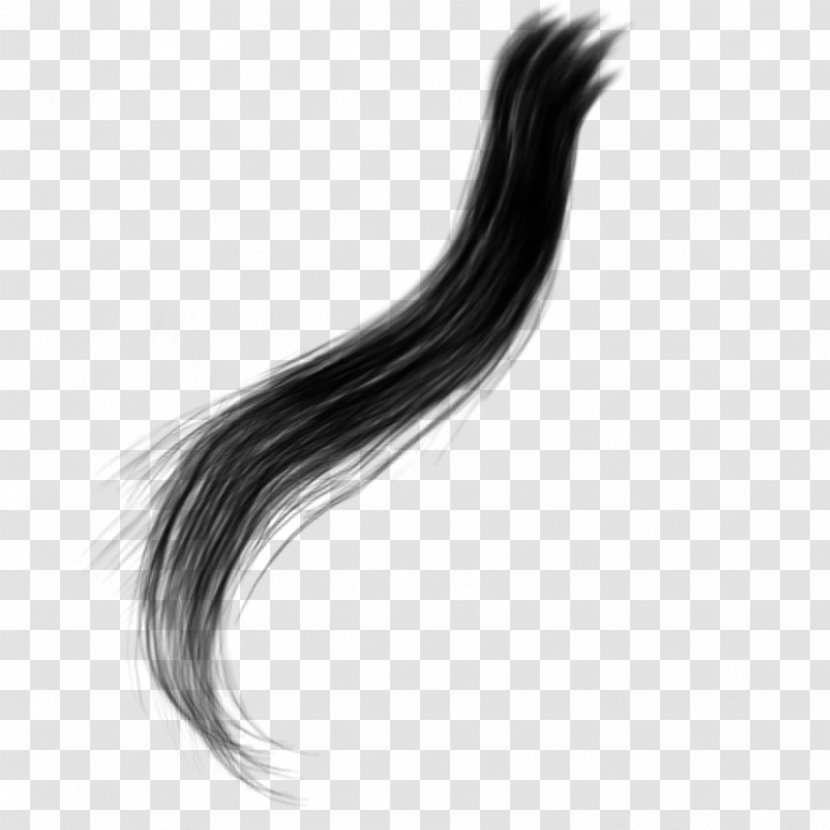Capelli Long Hair - Monochrome Photography - Elegant Transparent PNG