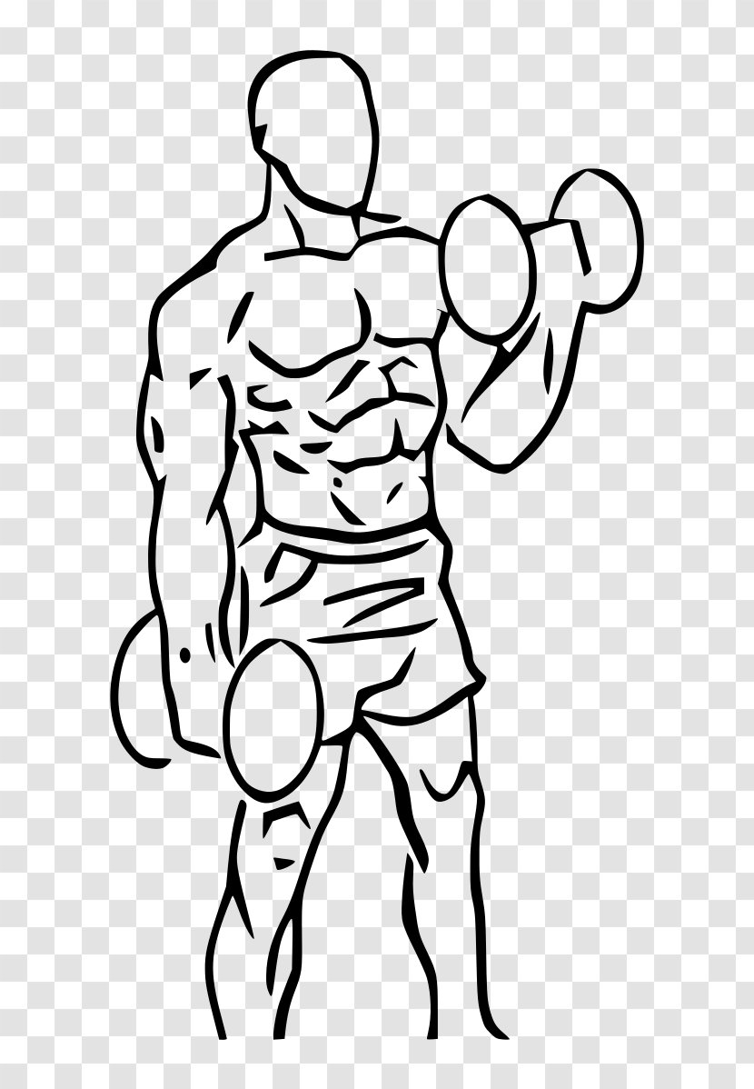 Biceps Curl Dumbbell Exercise Weight Training - Watercolor Transparent PNG