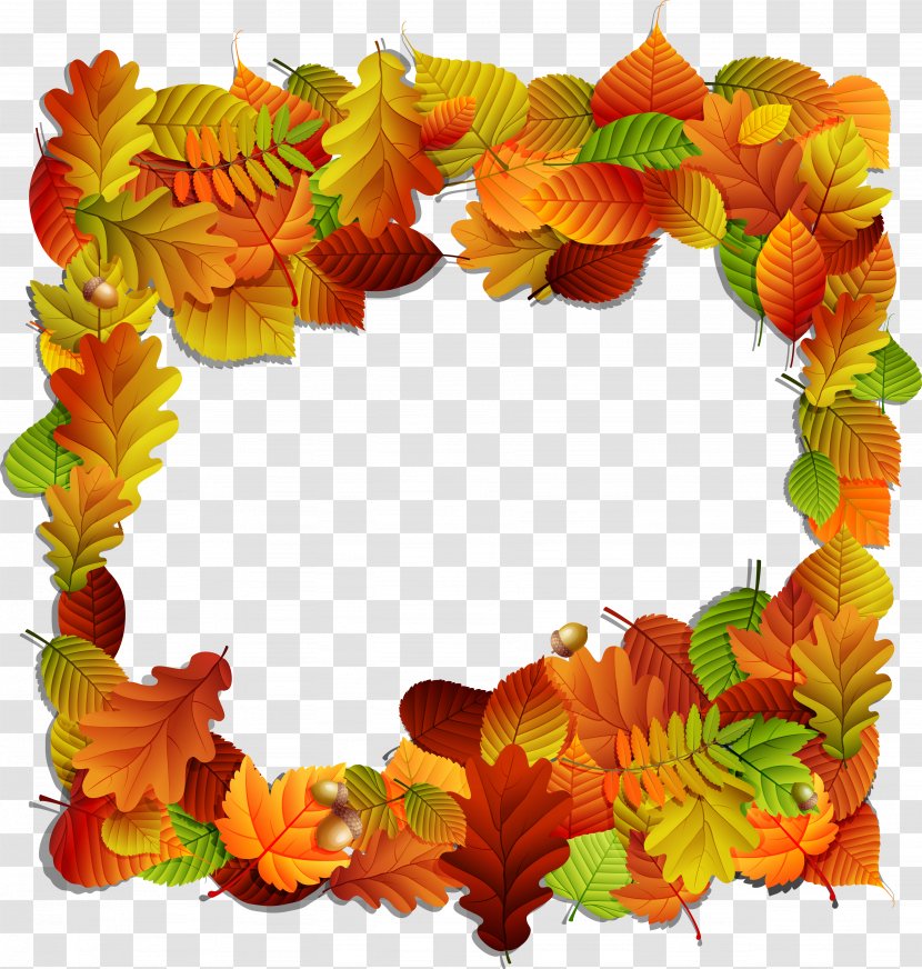 Picture Frame Photography Clip Art - Petal - Vector Orange Autumn Leaves Transparent PNG