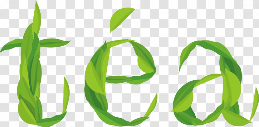 Green Tea Drink - Leaf - Poster Background Transparent PNG