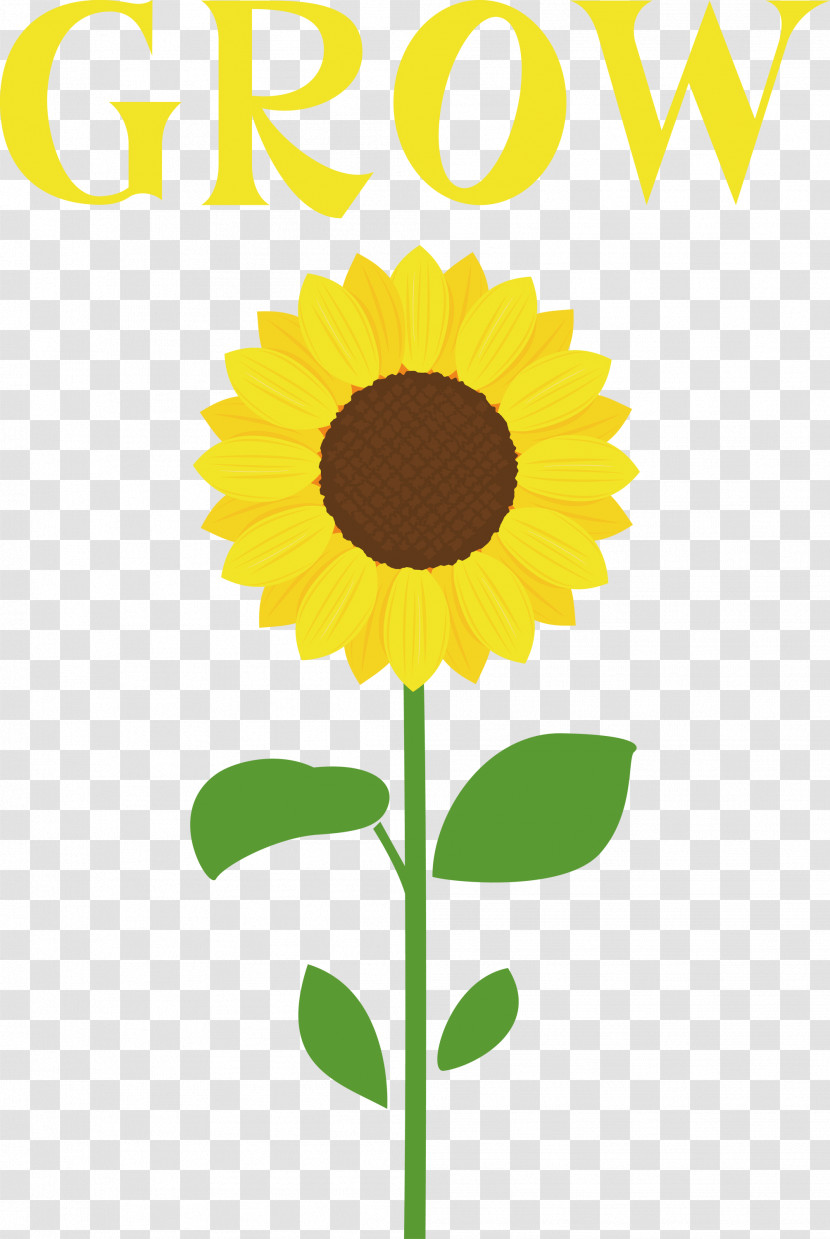 GROW Flower Transparent PNG