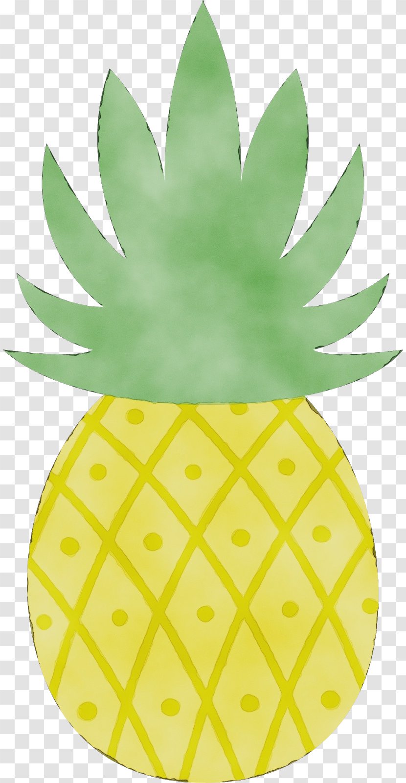 Pineapple - Plant - Poales Leaf Transparent PNG