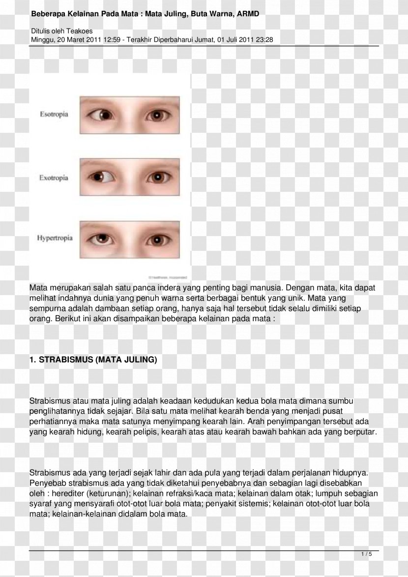 Document Line Strabismus Transparent PNG