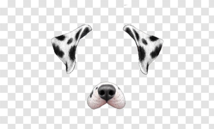 Dalmatian Dog Snapchat - We Heart It Transparent PNG
