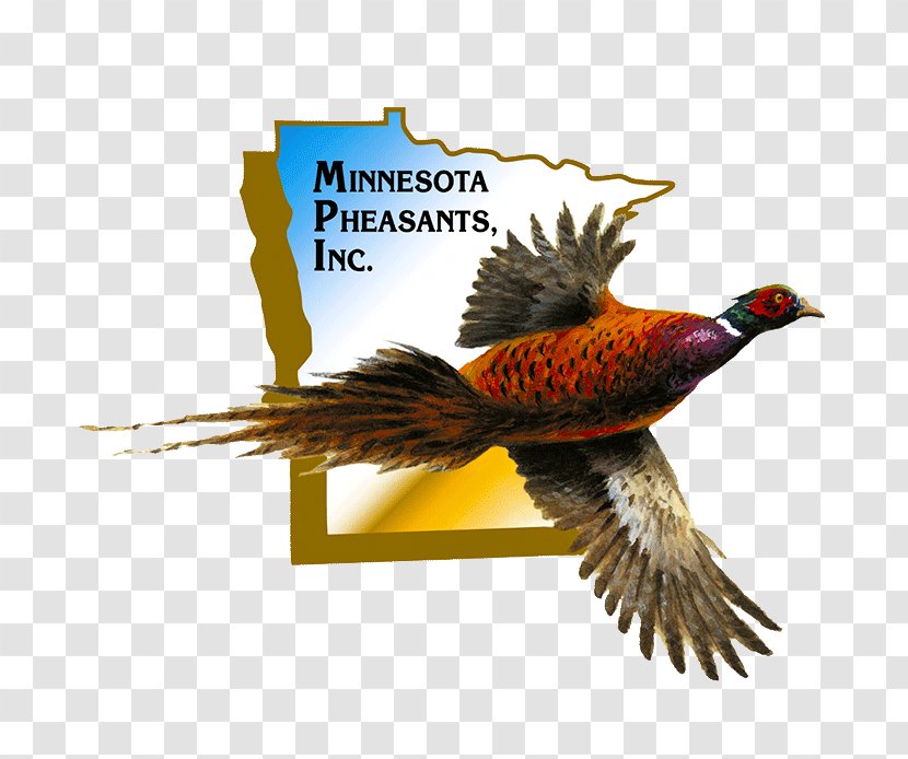 North Mankato Pheasant Times Area Foundation Information - Advertising - Thunder Ring Transparent PNG