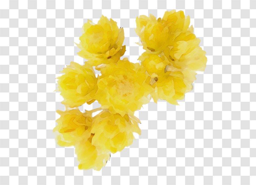 Yellow Flower Plant Cut Flowers Petal Transparent PNG