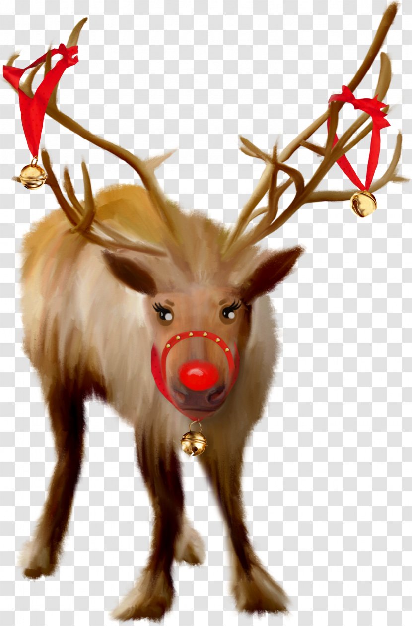 Santa Claus's Reindeer Christmas - New Year S Day - Internet Clipart Transparent PNG
