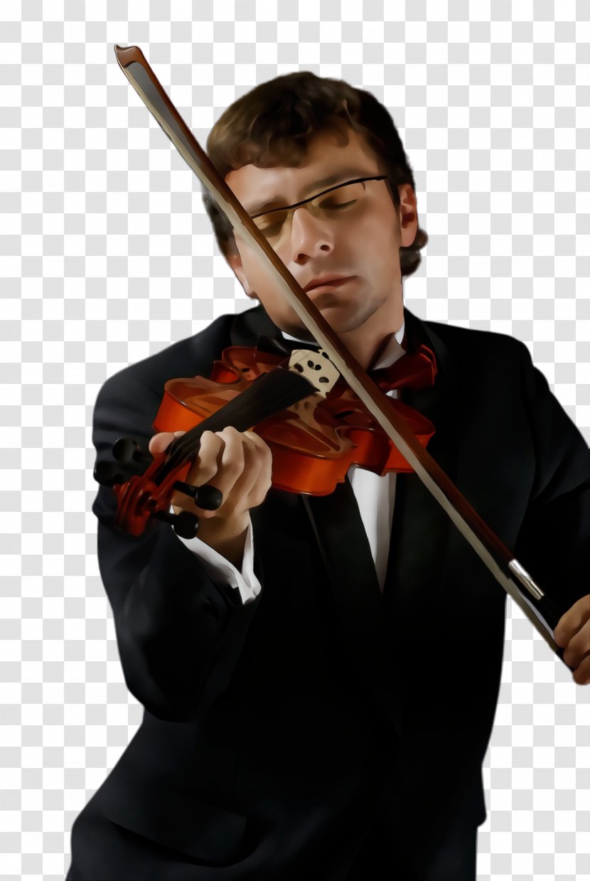 Violist Violinist Violin Music Concertmaster - Paint - Bowed String Instrument Family Transparent PNG
