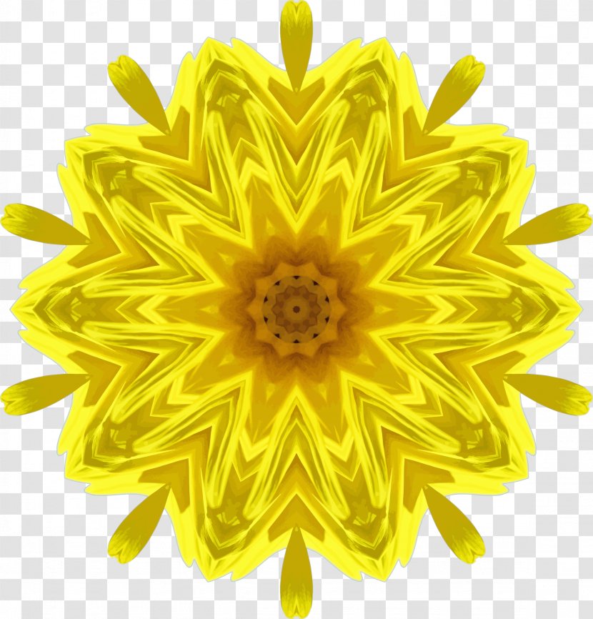 Common Sunflower Seed Daisy Family Clip Art - Royaltyfree Transparent PNG