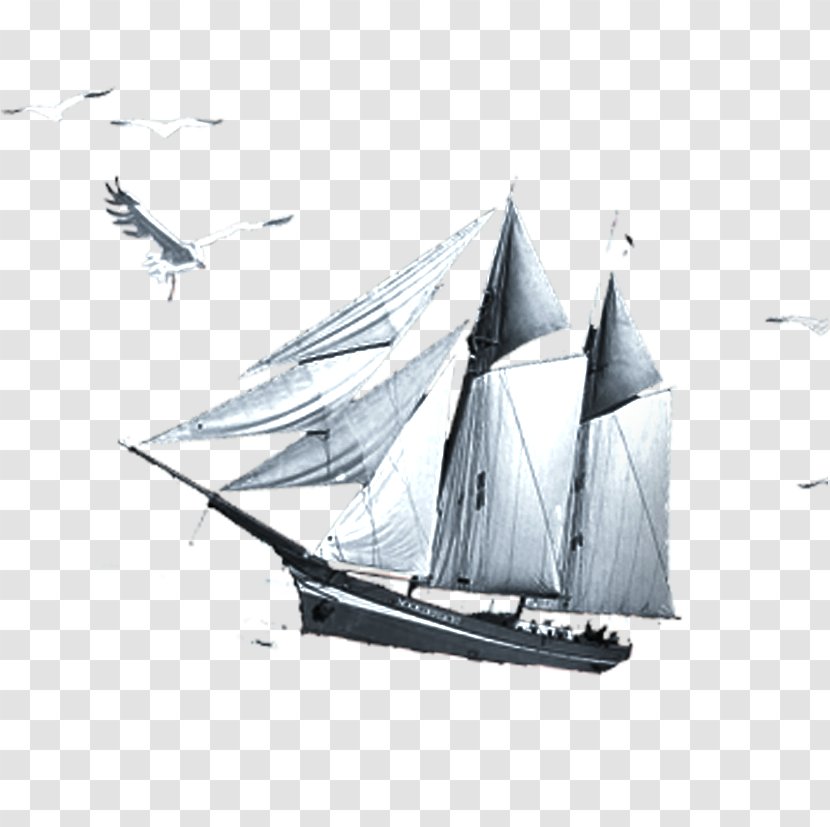 Sailing Download - Boat - Smooth Transparent PNG