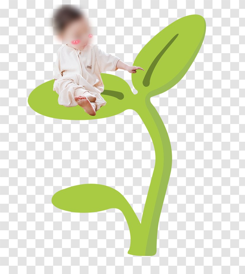 Grass Herbaceous Plant Computer File - Sports Equipment - Small Child Transparent PNG
