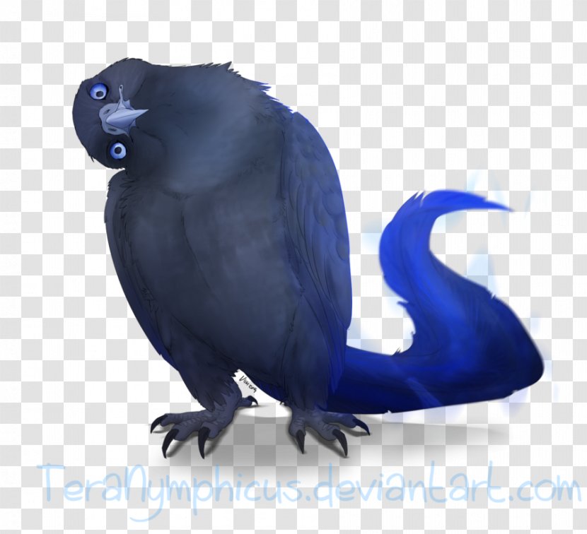 Beak Cobalt Blue - CURIOSITY Transparent PNG