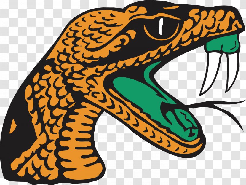 Florida A&M Rattlers Women's Basketball Football Classic Teaching Gym NCAA Division I Championship - College - Snakes Transparent PNG